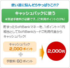 �L���b�V���o�b�N�Ɏg���@���ʓr�萔�����K�v�ł��B�i�����p�|�C���g��3%�j