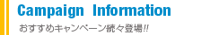 Campaign Information�@�������߃L�����y�[�����X�o��!!